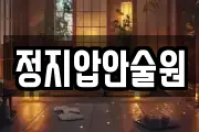 정지압안술원