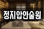 정지압안술원