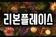 리본플레이스