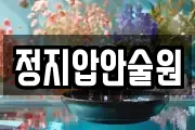정지압안술원