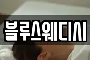 블루스웨디시