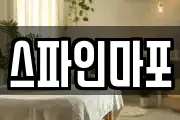 스파인마포