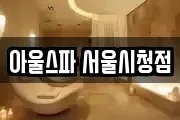 아울스파 서울시청점