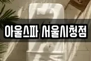 아울스파 서울시청점