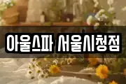 아울스파 서울시청점