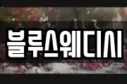 블루스웨디시