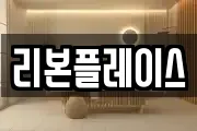 리본플레이스