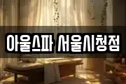 아울스파 서울시청점