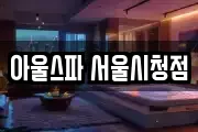 아울스파 서울시청점