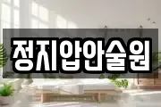정지압안술원