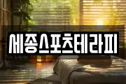 세종스포츠테라피