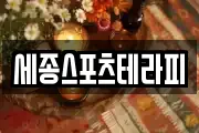 세종스포츠테라피