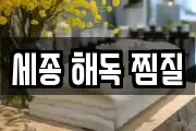 세종 해독 찜질