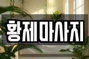 세종특별자치시 금남면 마사지, 지압등 업체정보