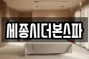 세종시더본스파