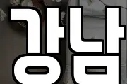 강남