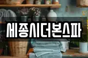 세종시더본스파