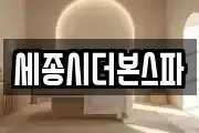 세종시더본스파