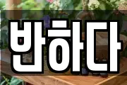 반하다