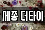 세종 더타이