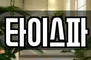타이스파