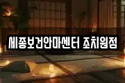 세종보건안마센터 조치원점