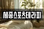 세종스포츠테라피