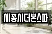 세종시더본스파