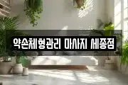 세종특별자치시 마사지, 지압등 업체정보