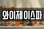 와이제이스파