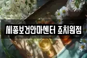 세종보건안마센터 조치원점