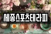 세종스포츠테라피