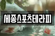 세종스포츠테라피