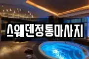 세종 나성동 마사지, 지압등 업체정보
