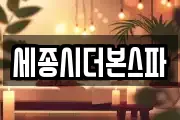 세종시더본스파