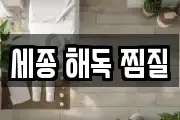 세종 해독 찜질