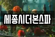 세종시더본스파