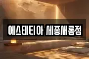 세종 새롬동 마사지, 지압등 업체정보