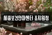 세종보건안마센터 조치원점