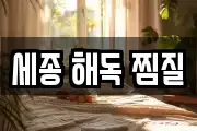 세종 해독 찜질