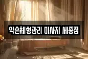 세종 마사지, 지압등 업체정보
