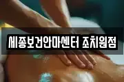 세종보건안마센터 조치원점