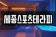 세종 장군면 마사지, 지압등 업체정보