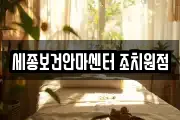 세종보건안마센터 조치원점