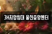 3H지압침대 울산중앙센터