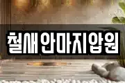 철새안마지압원