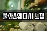 울산스웨디시 느낌