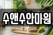 수앤수안마원