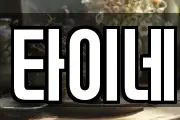 타이네