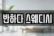 반하다 스웨디시